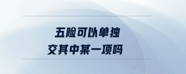 五險可以單獨交其中某一項嗎