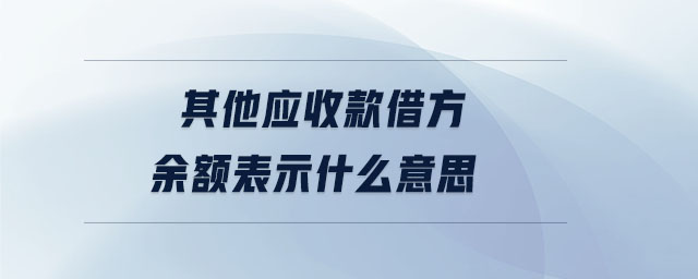 其他應(yīng)收款借方余額表示什么意思