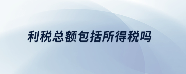 利稅總額包括所得稅嗎？