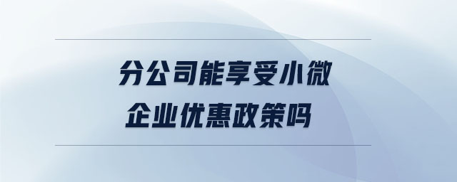 分公司能享受小微企業(yè)優(yōu)惠政策嗎