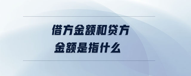 借方金額和貸方金額是指什么