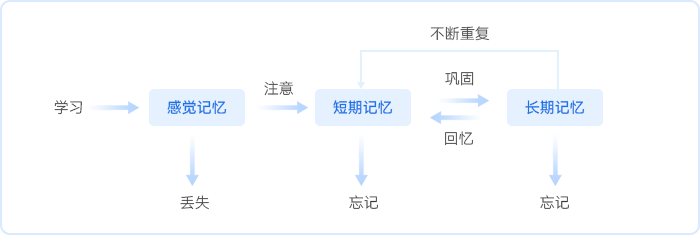 中級會計(jì)人的三大記憶感覺記憶短期記憶和長期記憶