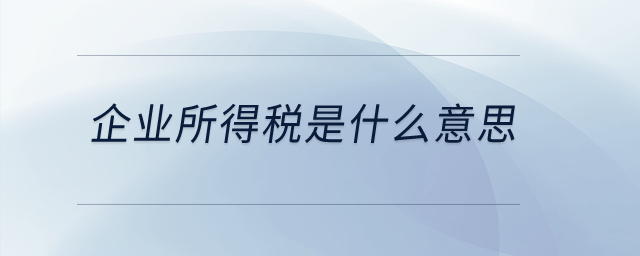 企業(yè)所得稅是什么意思,？