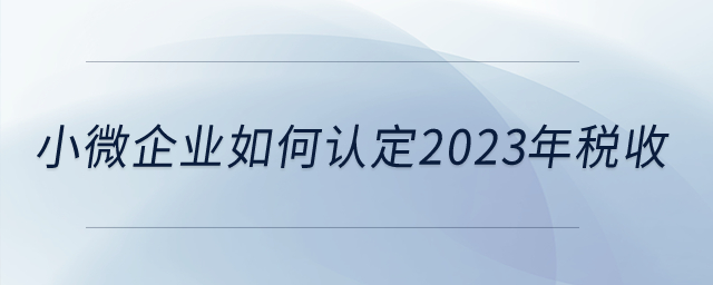 小微企業(yè)如何認(rèn)定2023年稅收,？