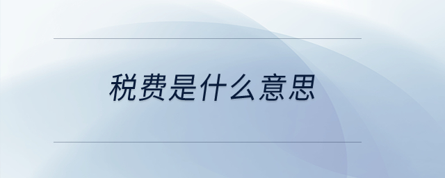 稅費(fèi)是什么意思,？