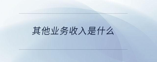 其他業(yè)務(wù)收入是什么