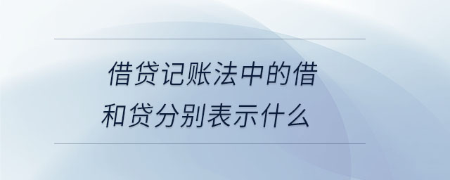 借貸記賬法中的借和貸分別表示什么