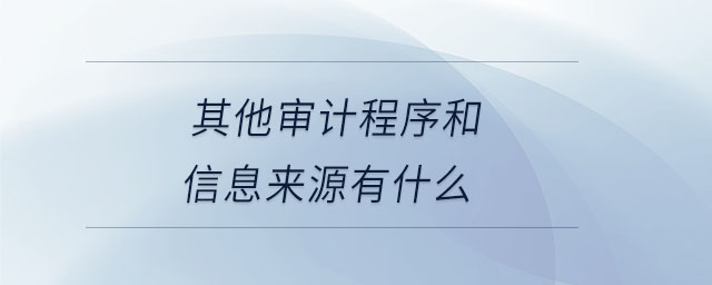 其他審計(jì)程序和信息來(lái)源有什么