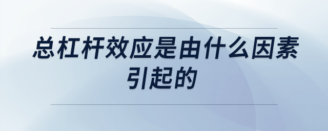 總杠桿效應(yīng)是由什么因素引起的