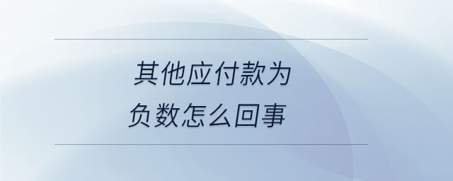 其他應(yīng)付款為負(fù)數(shù)怎么回事