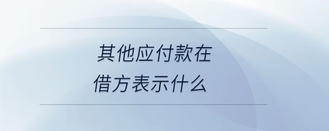 其他應(yīng)付款在借方表示什么