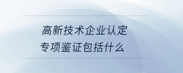 高新技術(shù)企業(yè)認(rèn)定專項(xiàng)鑒證包括什么