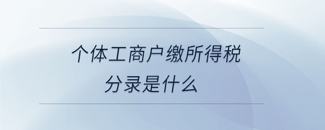 個(gè)體工商戶繳所得稅分錄是什么