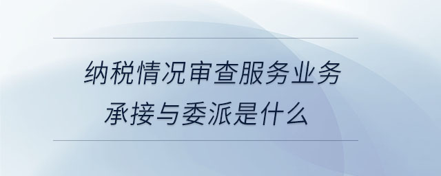 納稅情況審查服務(wù)業(yè)務(wù)承接與委派是什么