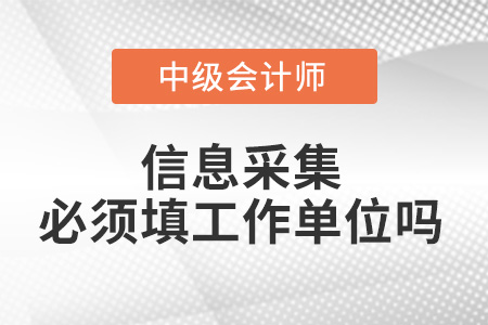 信息采集必須填工作單位嗎