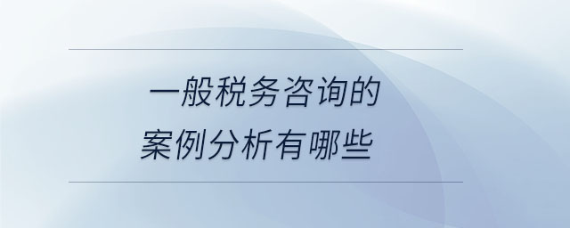 一般稅務(wù)咨詢的案例分析有哪些