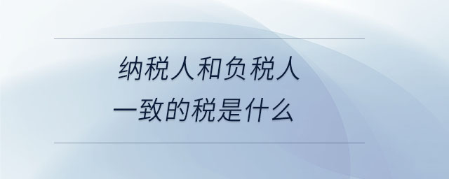 納稅人和負(fù)稅人一致的稅是什么