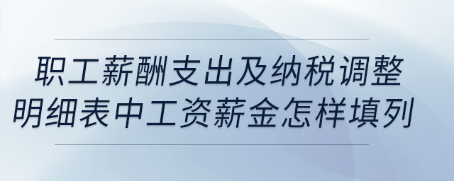 職工薪酬支出及納稅調整明細表中工資薪金怎樣填列,？