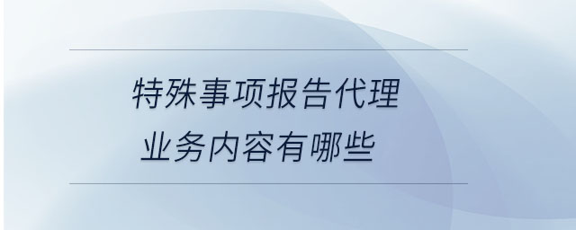 特殊事項(xiàng)報(bào)告代理業(yè)務(wù)內(nèi)容有哪些