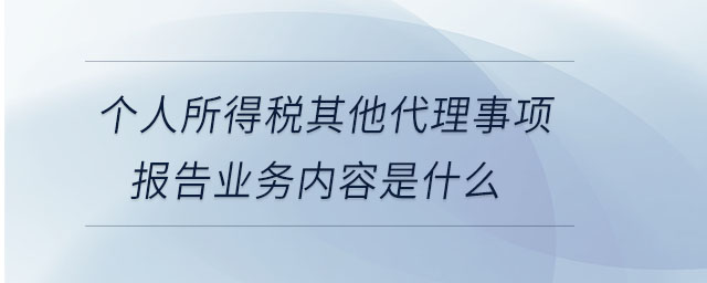 個人所得稅其他代理事項(xiàng)報(bào)告業(yè)務(wù)內(nèi)容是什么