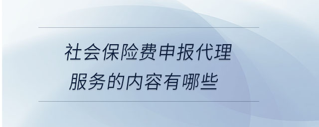 社會保險費申報代理服務(wù)的內(nèi)容有哪些