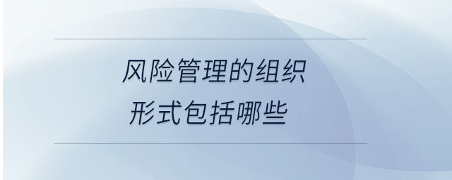 風(fēng)險管理的組織形式包括哪些