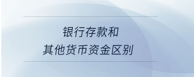 銀行存款和其他貨幣資金區(qū)別