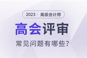 2023年高級(jí)會(huì)計(jì)師評(píng)審常見(jiàn)問(wèn)題有哪些？