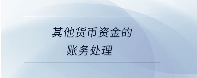 其他貨幣資金的賬務(wù)處理