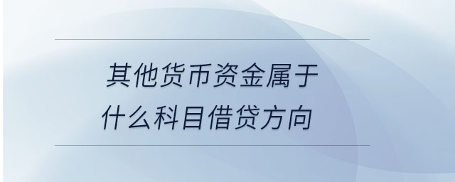 其他貨幣資金屬于什么科目借貸方向