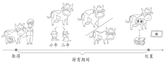 初級(jí)會(huì)計(jì)小故事