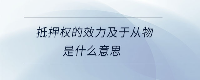 抵押權(quán)的效力及于從物是什么意思