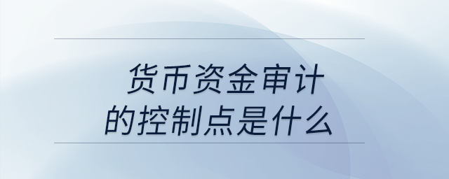 貨幣資金審計的控制點是什么,？