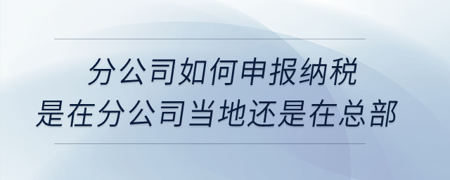 分公司如何申報納稅,？是在分公司當(dāng)?shù)剡€是在總部,？