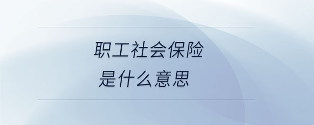 職工社會保險是什么意思