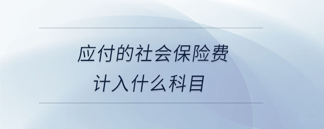 應(yīng)付的社會(huì)保險(xiǎn)費(fèi)計(jì)入什么科目