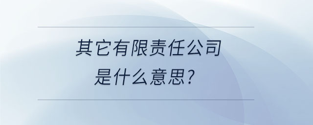 其它有限責(zé)任公司是什么意思