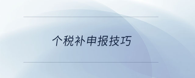 個(gè)稅補(bǔ)申報(bào)技巧