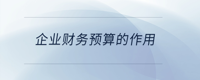 企業(yè)財務(wù)預(yù)算的作用,？