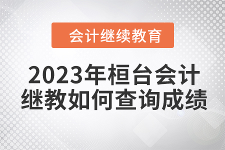 2023年桓臺(tái)會(huì)計(jì)繼續(xù)教育如何查詢成績(jī)？