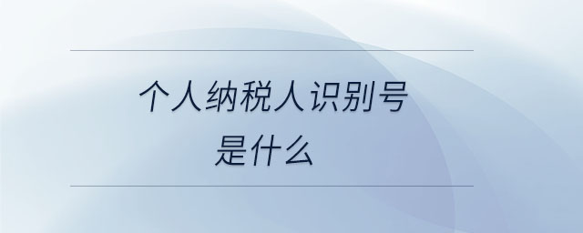 個人納稅人識別號是什么