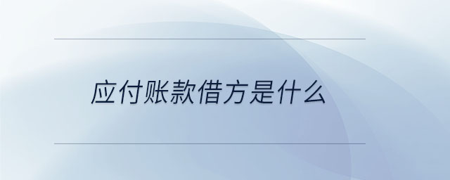 應付賬款借方是什么