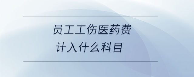 員工工傷醫(yī)藥費(fèi)計(jì)入什么科目