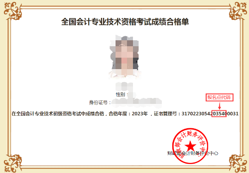 初級(jí)會(huì)計(jì)職稱(chēng)考試