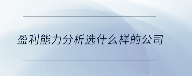 盈利能力分析選什么樣的公司