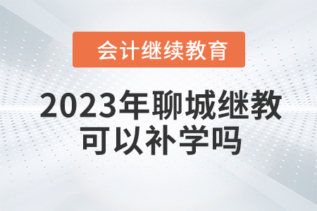 2023年聊城會計繼續(xù)教育網(wǎng)可以補(bǔ)學(xué)嗎,？