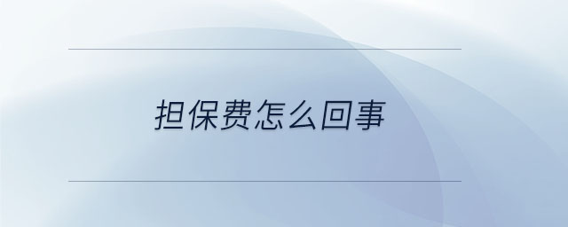 擔(dān)保費怎么回事