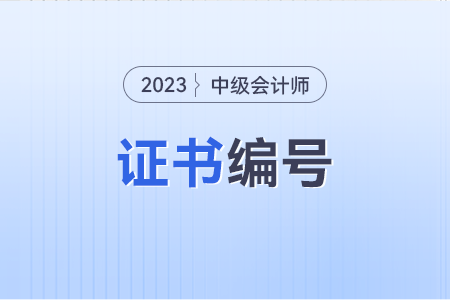 中級(jí)會(huì)計(jì)職稱證書編號(hào)是管理號(hào)嗎？誰能解答一下,？