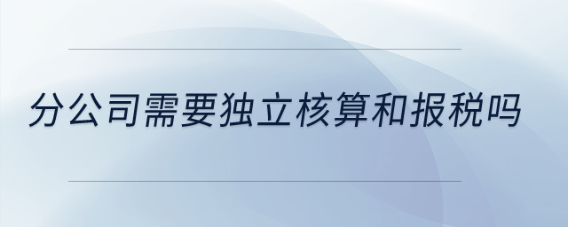 分公司需要獨(dú)立核算和報(bào)稅嗎,？