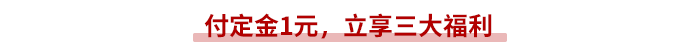 付定金1元,，立享三大福利